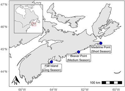 Estimating stocking weights for Atlantic salmon to grow to market size at novel aquaculture sites with extreme temperatures